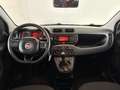 Fiat Panda 1.2 Easy  5 posti e ruota di scorta Blanco - thumbnail 13