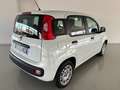Fiat Panda 1.2 Easy  5 posti e ruota di scorta Blanco - thumbnail 5