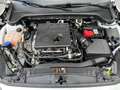 Ford Focus Turnier ST-Line Kamera+LED+ACC+Winterpak Weiß - thumbnail 10