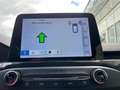 Ford Focus Turnier ST-Line Kamera+LED+ACC+Winterpak Weiß - thumbnail 26
