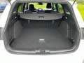 Ford Focus Turnier ST-Line Kamera+LED+ACC+Winterpak Alb - thumbnail 11