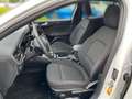 Ford Focus Turnier ST-Line Kamera+LED+ACC+Winterpak Weiß - thumbnail 21