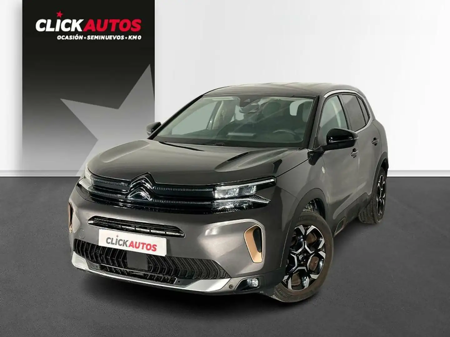 Citroen C5 Aircross PureTech S&S C-Series EAT8 130 Gris - 1