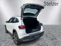 Mercedes-Benz EQA 250 MBUX Navi RKam Shz LED Ambi eHeck PTS Wit - thumbnail 7