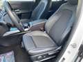 Mercedes-Benz EQA 250 MBUX Navi RKam Shz LED Ambi eHeck PTS Weiß - thumbnail 9