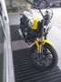 Ducati Scrambler ICON YELLOW 800 CC Желтый - thumbnail 2