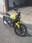 Ducati Scrambler ICON YELLOW 800 CC Желтый - thumbnail 1