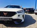 CUPRA Formentor VZ 2.0 TSI 4Drive 19Z*BEATS*ACC*NAVI* Bianco - thumbnail 15
