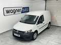 Volkswagen Caddy Kastenwagen Entry 2,0 TDI Weiß - thumbnail 4