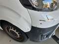 Toyota Proace L1 Kasten Meister Weiß - thumbnail 14