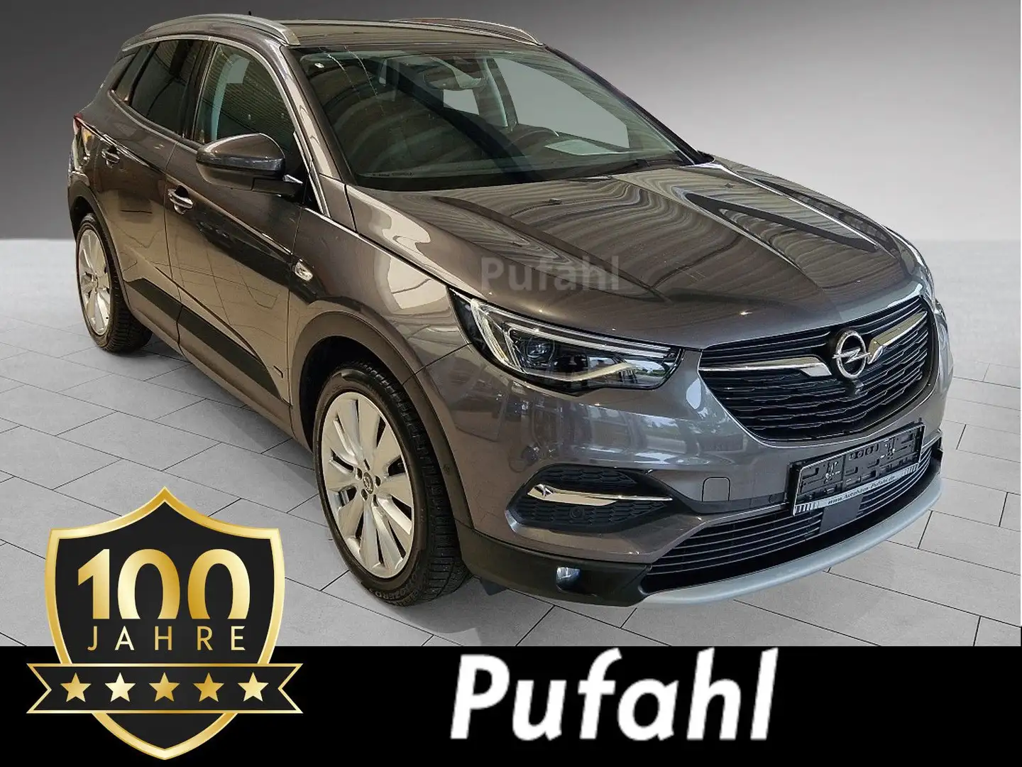 Opel Grandland X Riesenauswahl zum super Preis Gris - 1