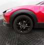 Mazda CX-30 2.5 E-SKYACTIV-G HOMURA 5P Rojo - thumbnail 10