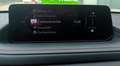 Mazda CX-30 2.5 E-SKYACTIV-G HOMURA 5P Rojo - thumbnail 27