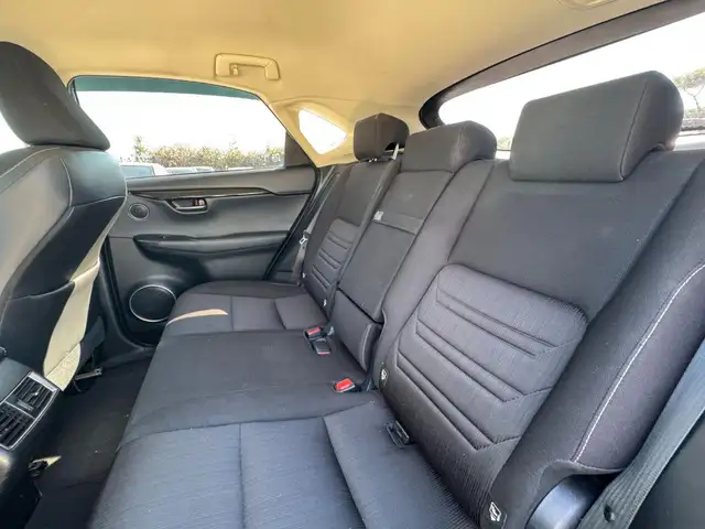 Lexus NX view 15