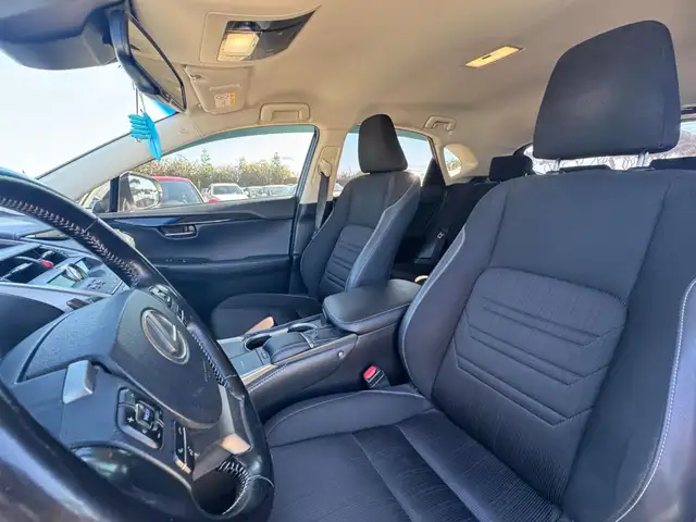 Lexus NX view 14