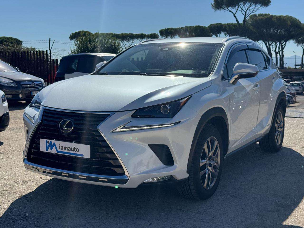 Lexus NX 300h Hybrid Business 2.5cc 155cv (243) NAVIG. CRUISE C.