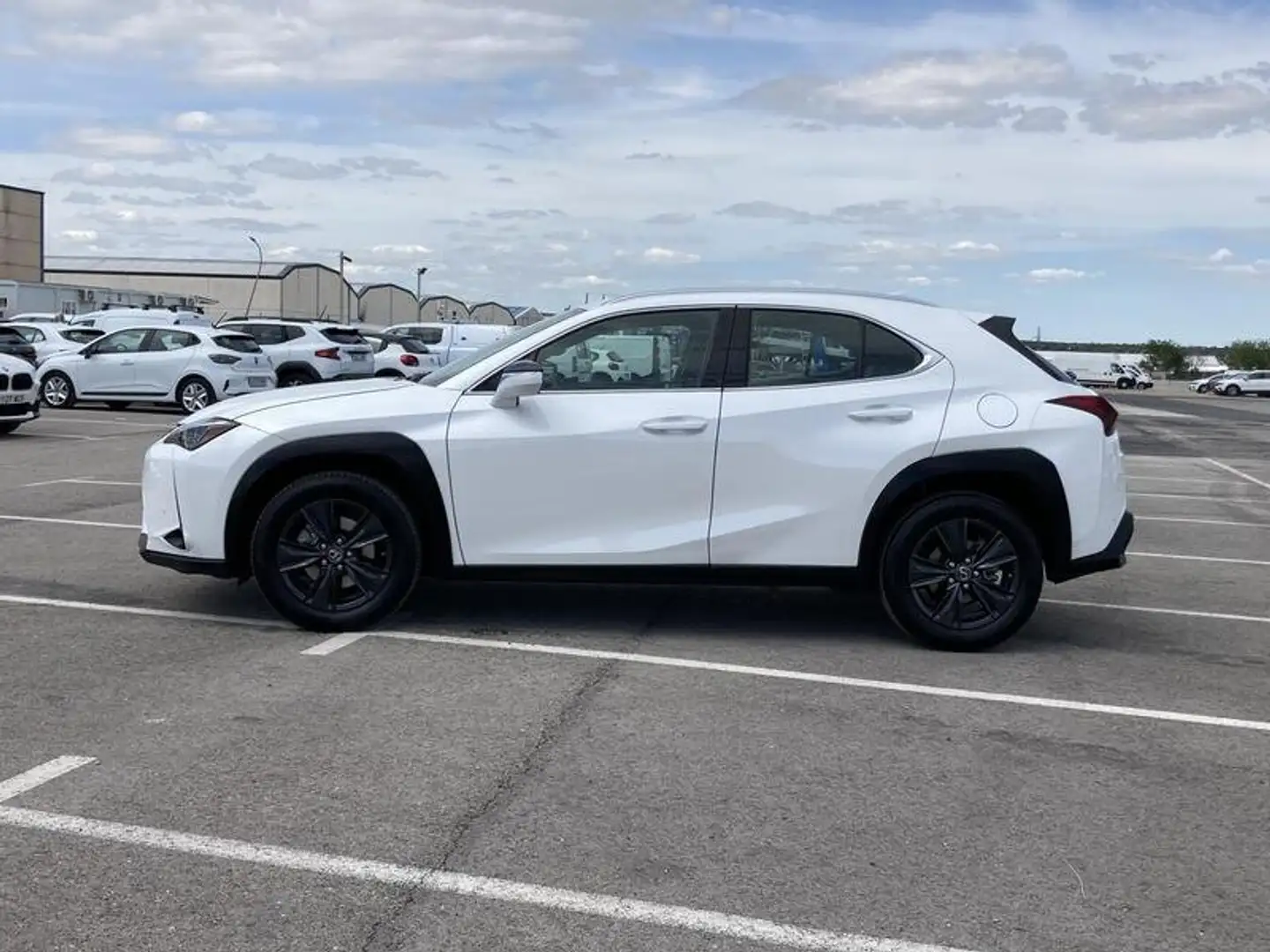 Lexus UX 250h 2.0  135 kW / 184 CV - 2