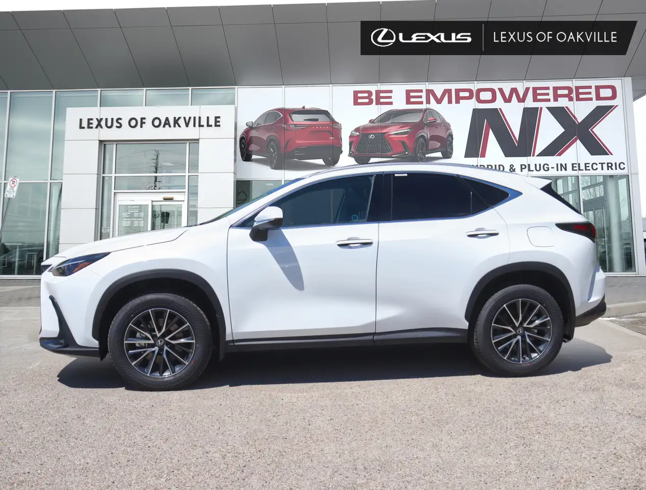 Lexus NX fotografie Lexus NX