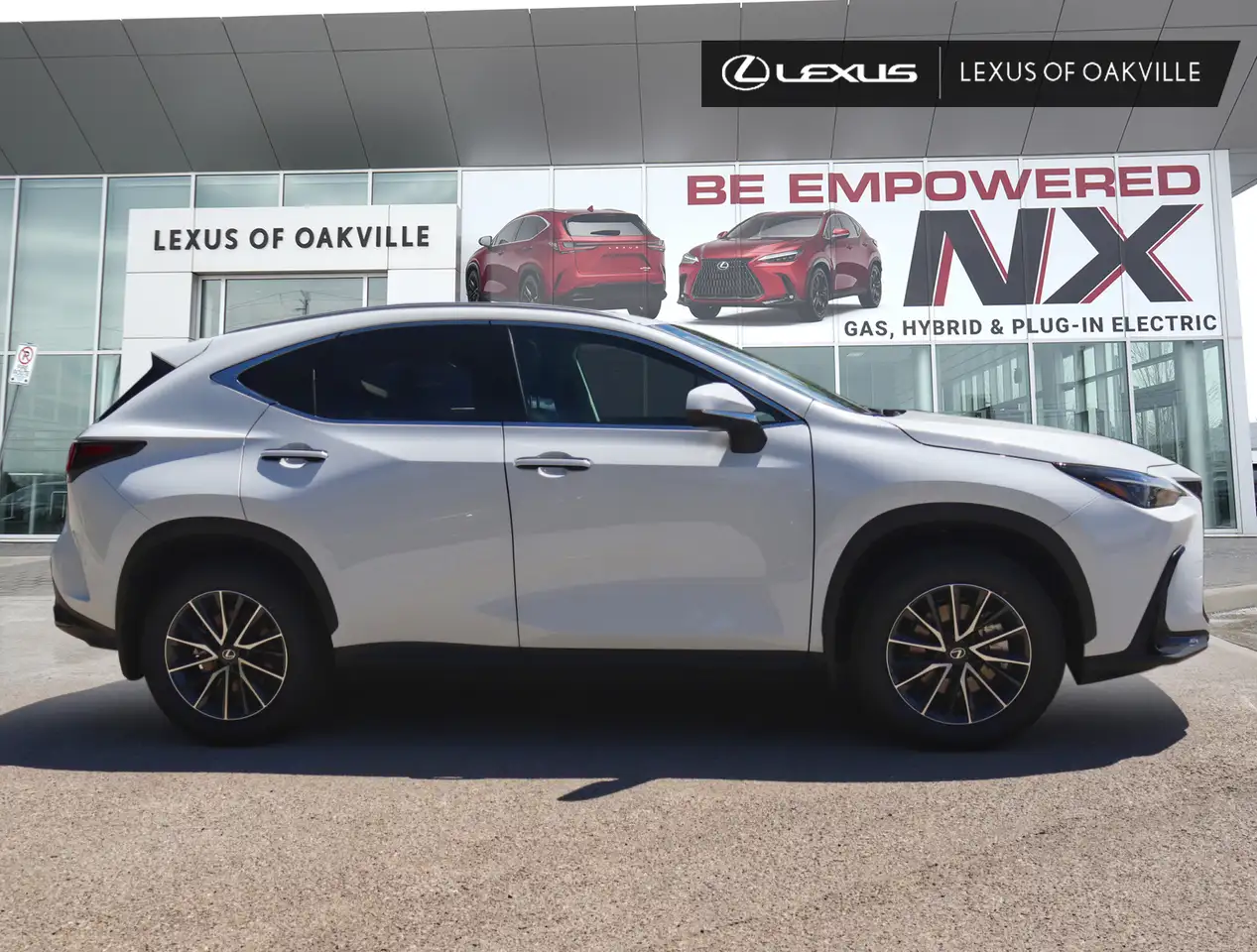 Lexus NX fotografie Lexus NX