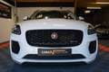 Jaguar E-Pace 2.0D 150ch R-Dynamic AWD BVA8 Blanc - thumbnail 4