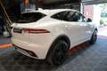 Jaguar E-Pace 2.0D 150ch R-Dynamic AWD BVA8 Blanc - thumbnail 9