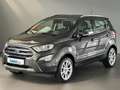 Ford EcoSport Titanium #1.HAND #AHK #B&O #WINTERPAKET Grau - thumbnail 1