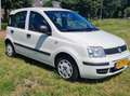 Fiat Panda Panda 1.2 Active - thumbnail 6
