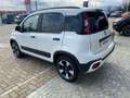Fiat Panda Panda 1.0 firefly hybrid Cross s&s 70cv 5p.ti Wit - thumbnail 4