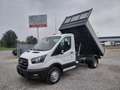 Ford Transit NUOVO TRANSIT- 130CV  EURO6.2 CON RIBALTABILE Bianco - thumbnail 1