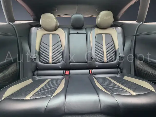 Aston Martin DBX view 13