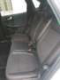 Ford Kuga 2.0 EcoBlue ST-Line X AWD 190 Aut. Blanco - thumbnail 6