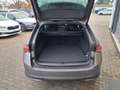 Skoda Octavia Combi 1.5 TSI DSG Sportline 150PS Head-U Grau - thumbnail 10