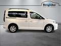 Volkswagen Caddy Family TDI Weiß - thumbnail 3