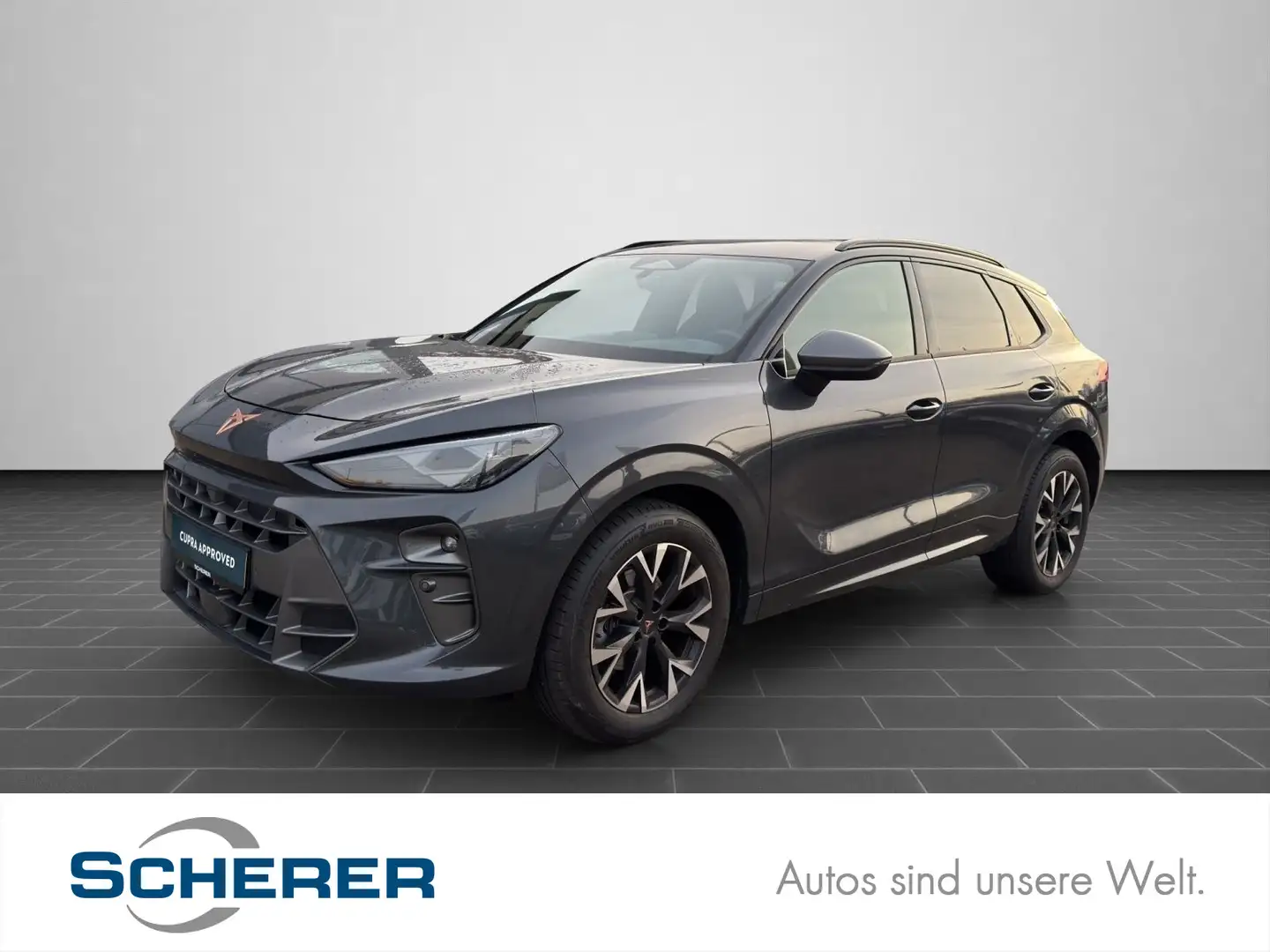 CUPRA Terramar 1.5 eTSI DSG SHZ Navi ACC PDC Spurhalte Grau - 1