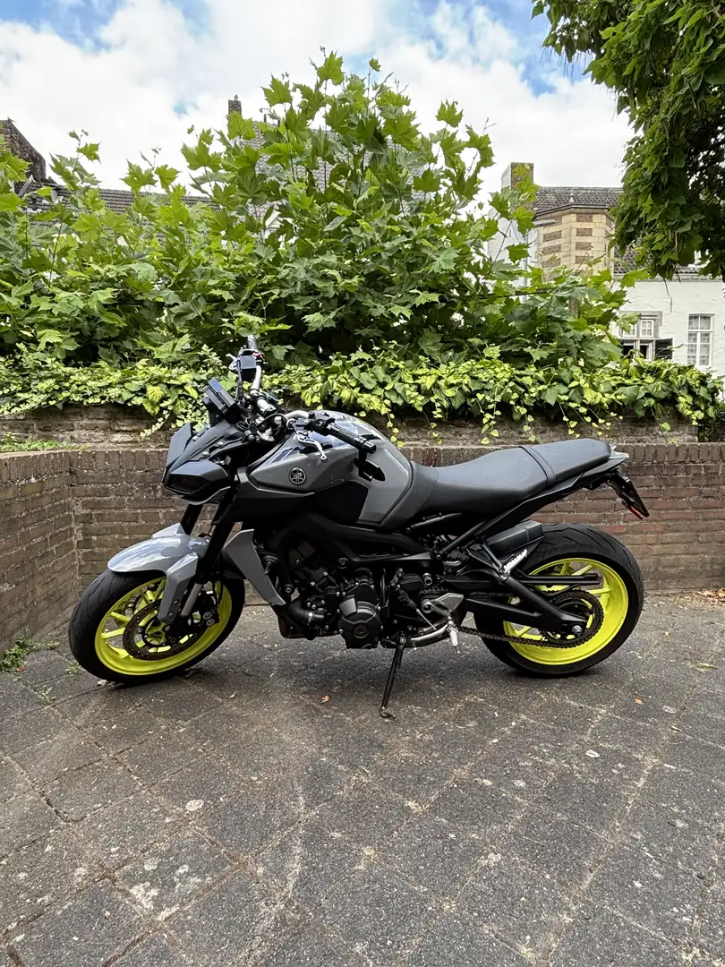 Yamaha MT-09 Fluor Grijs - 1