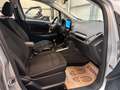 Ford EcoSport *GARANTIE 12 MOIS* Ecosport 1.0 EcoBoost Grau - thumbnail 13