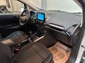Ford EcoSport *GARANTIE 12 MOIS* Ecosport 1.0 EcoBoost Grau - thumbnail 11