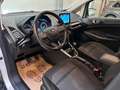 Ford EcoSport *GARANTIE 12 MOIS* Ecosport 1.0 EcoBoost Grau - thumbnail 7