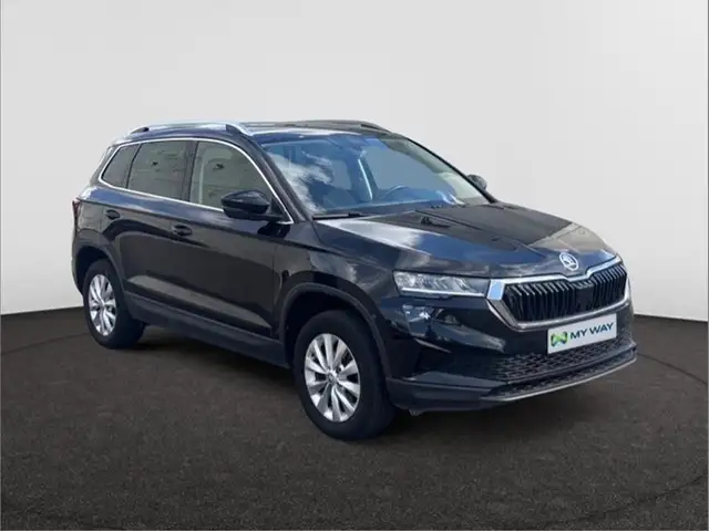 Skoda Karoq view 11