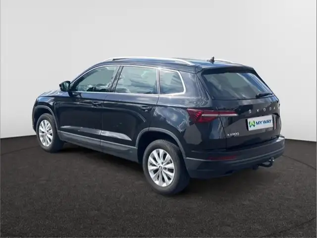 Skoda Karoq view 3