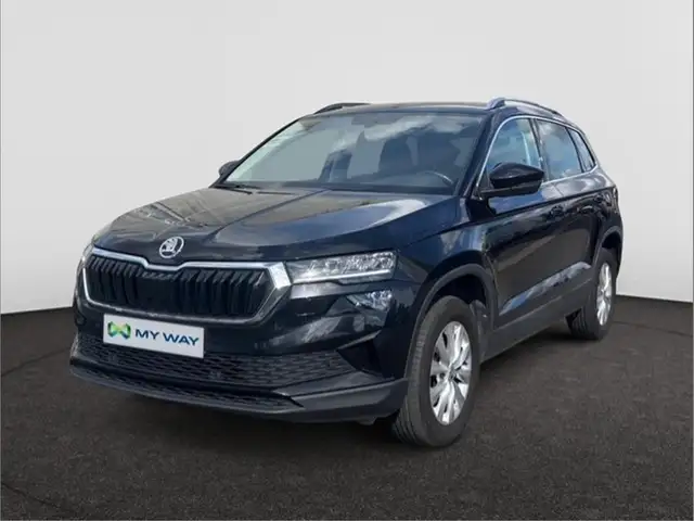 Skoda Karoq main image