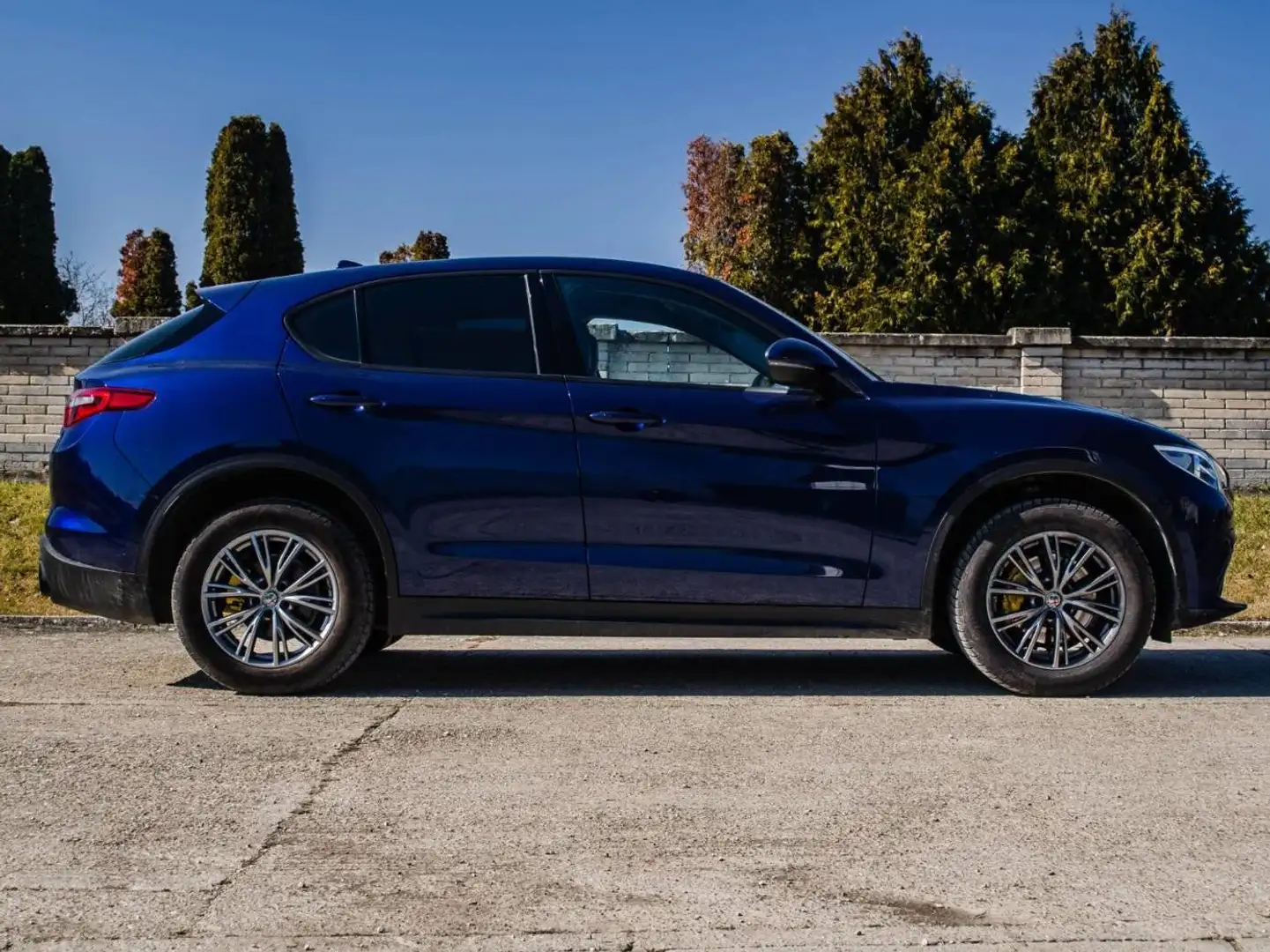 Alfa Romeo Stelvio Stelvio 2.2 Diesel 16V AT8 Q4 Super Blau - 1