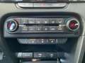 Kia Ceed SW / cee'd SW Vision 1.0T Komfort+ Navi Kamera Klima  LED Grün - thumbnail 15