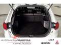 Mitsubishi Outlander Plus Spirit 4WD Navi Leder 360grad Kam AHK Apple C Blanc - thumbnail 12