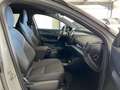 Volvo EX30 Plus AWD Performance ACC BLIS Kamera LED Gri - thumbnail 11