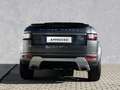 Land Rover Range Rover Evoque Cabrio TD4 SE Dynamic 1.Hd.AHK Grau - thumbnail 7