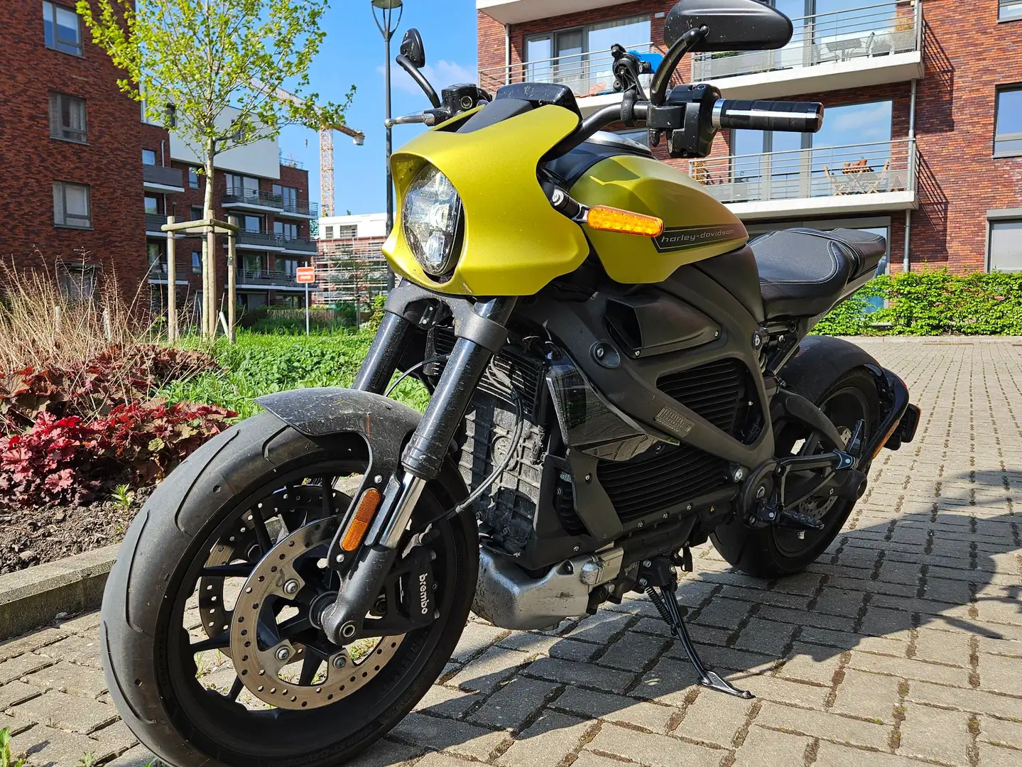 Harley-Davidson LiveWire Galben - 1