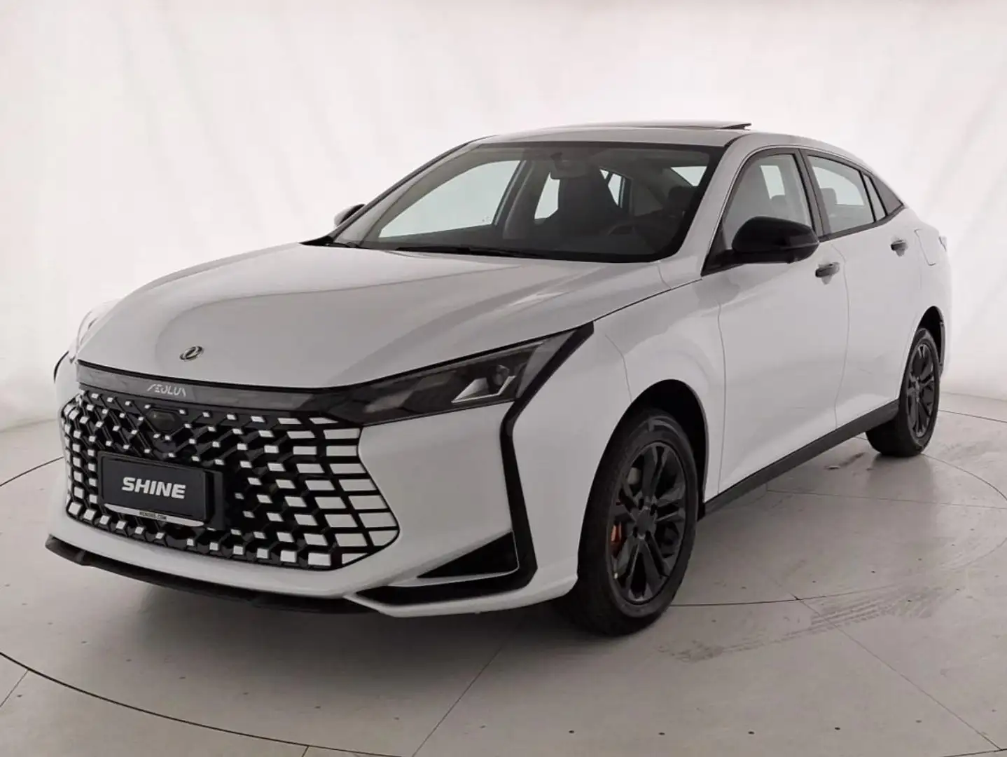 Dongfeng Sonstige Shine ICE E2 Weiß - 1