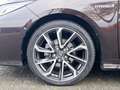 Toyota Corolla 1.8 Hybrid Executive Sedan | Trekhaak | Blindspot Brun - thumbnail 17