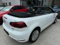 Volkswagen Golf VI 1.6 TDI Cabriolet Basis BMT Blanc - thumbnail 6